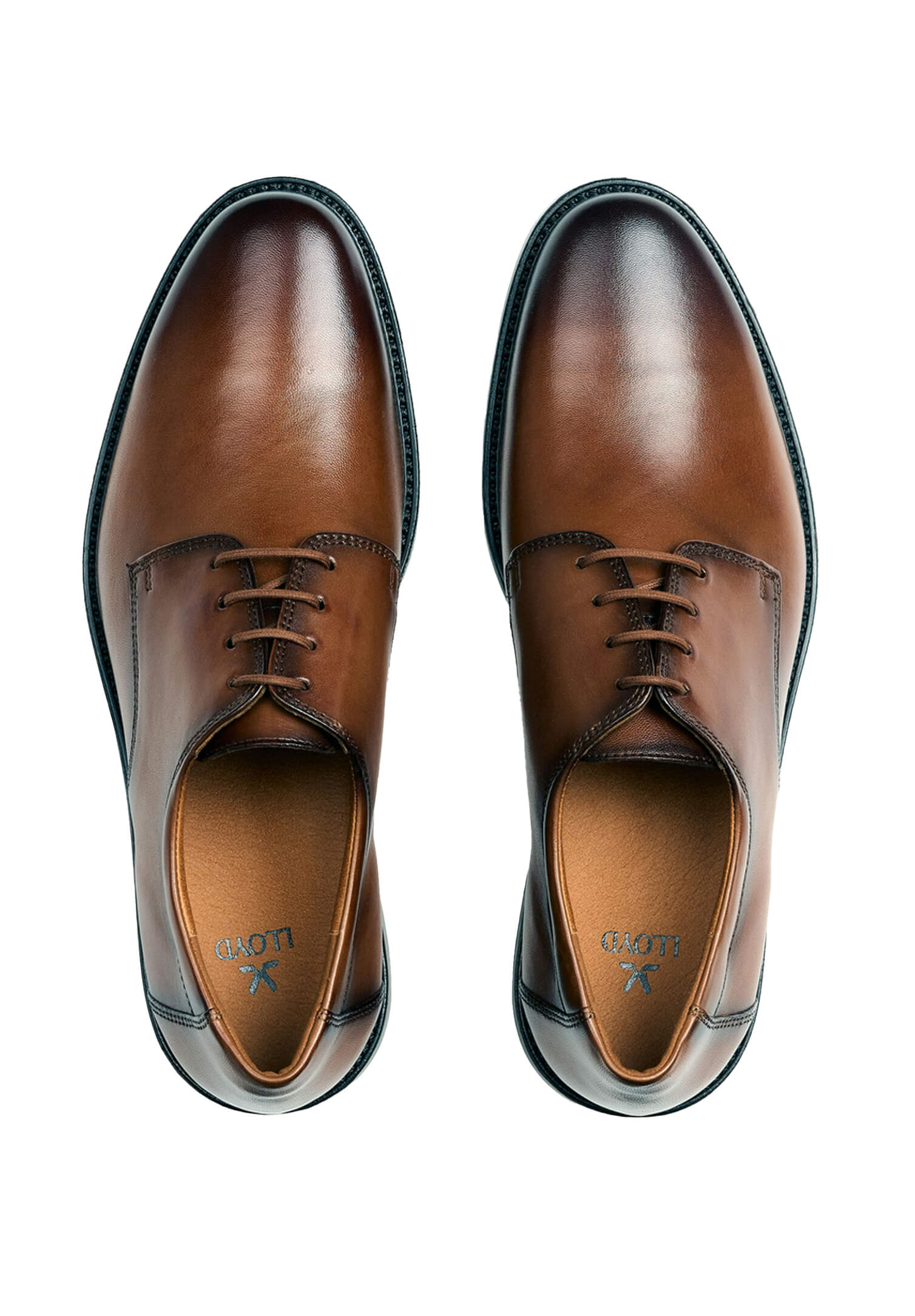 lloyd vexor - cognac - 46,5 (11,5)